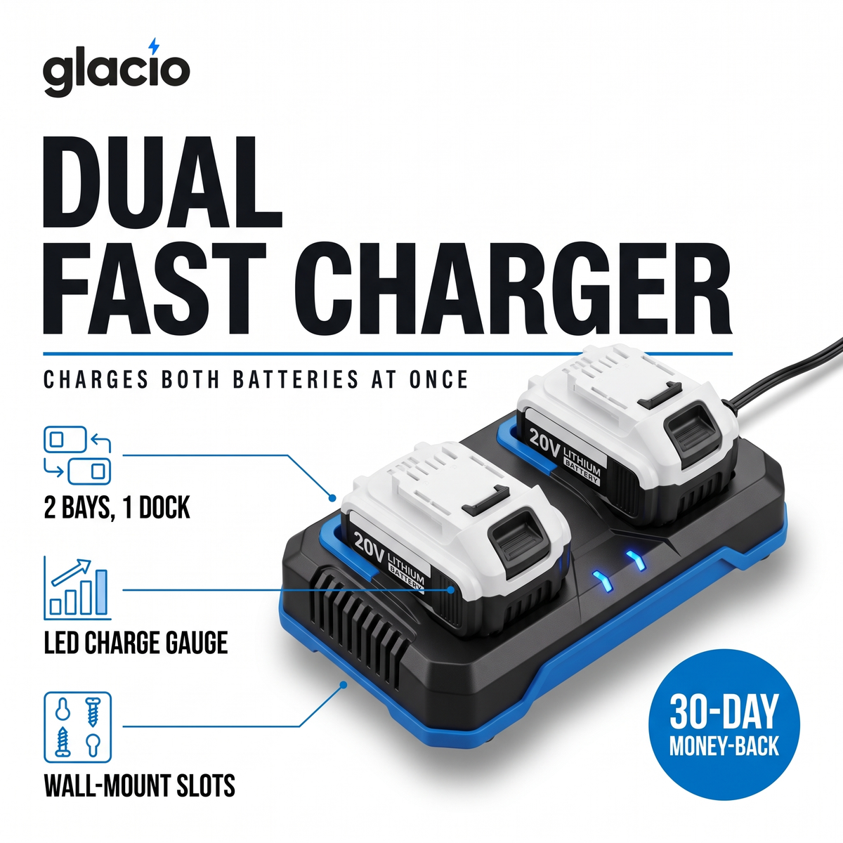 Dual Fast Charger